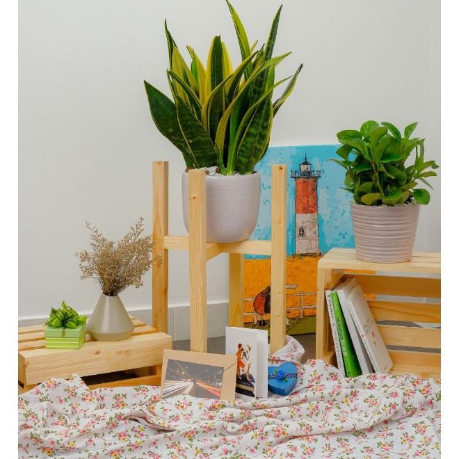 Giữa tháng không ngại mua sắm vì Shopee sale đậm nhiều deal hấp dẫn, giá ưu đãi chỉ từ 1.000 đồng ảnh 3