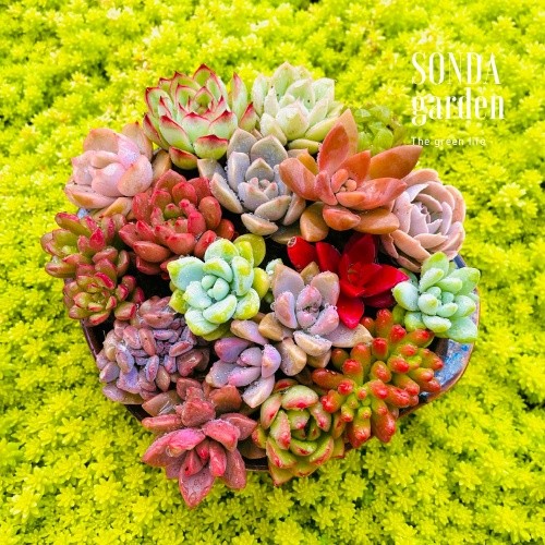 Chuẩn bị ngày trở lại văn phòng, săn ngay loạt sản phẩm giảm giá sâu và hoàn Xu khủng ảnh 4