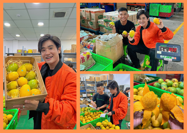 Về Khánh Hòa thăm vườn xoài trăm tuổi, cùng Hana Ban Mê và loạt KOL chung tay bảo tồn xoài cổ ảnh 2