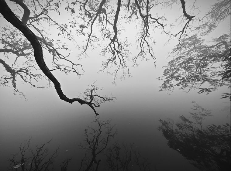 Hà Nội mù sương trong ngày tiễn ông Công ông Táo về trời ảnh 6