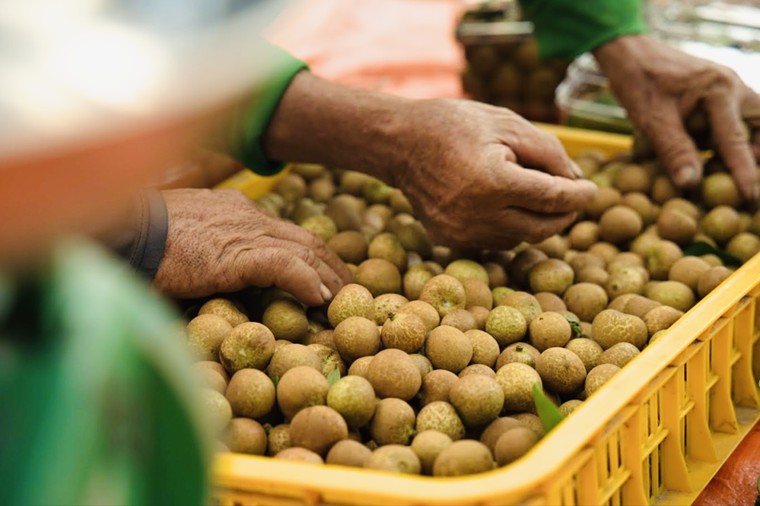 Người xem livestream thi nhau chốt đơn, gần 7 tấn trái cây bán ra trong ngày ảnh 4