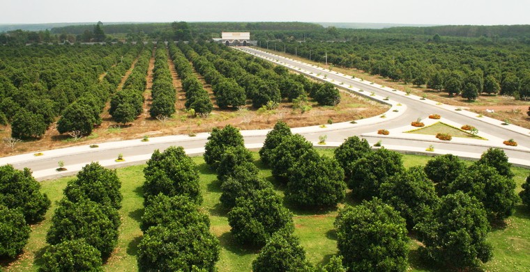 Vinamit mang nguồn cảm hứng cho người trẻ khởi nghiệp lên livestream Shopee ảnh 1