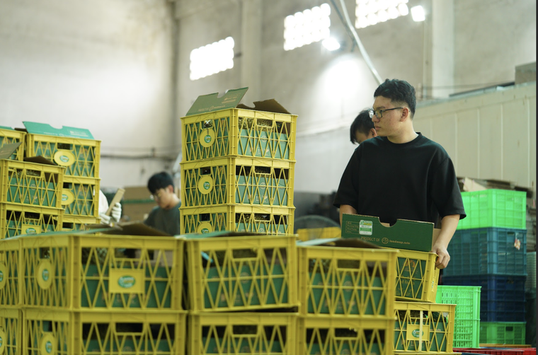 Shopee hỗ trợ nông dân tìm đầu ra nông sản qua livestream ảnh 3