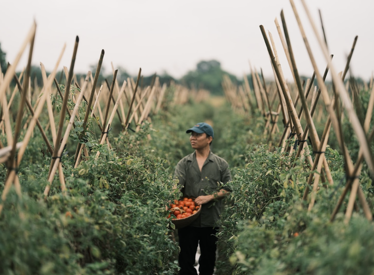 Ford Territory lan tỏa tinh thần di sản trong mỗi thương hiệu Việt ảnh 1