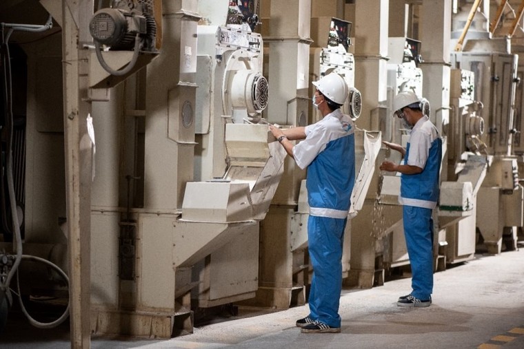 Doanh nghiệp Việt nâng tầm “hạt ngọc trời” bằng phương pháp canh tác đặc biệt ảnh 2