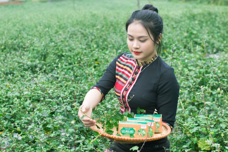 Người trẻ đi tìm hương vị đặc sản quê hương trên sóng livestream ảnh 5