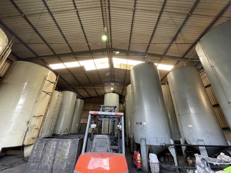 Bridgestone tiên phong thực hiện chính sách môi trường cho ngành lốp tại Việt Nam ảnh 1