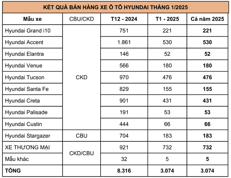 TC Group thông báo kết quả bán hàng Hyundai tháng 1/2025 ảnh 2