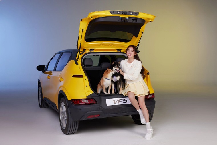 VinFast bàn giao hơn 12.100 ô tô điện trong tháng 3/2025 - Giữ vững vị thế hãng số 1 thị trường Việt Nam ảnh 2