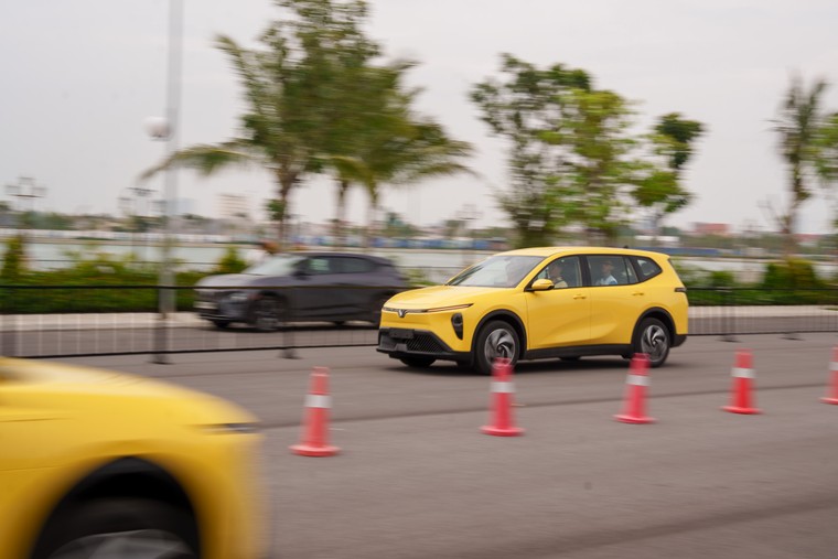 VinFast bàn giao lô xe Limo Green đầu tiên cho khách hàng ảnh 2