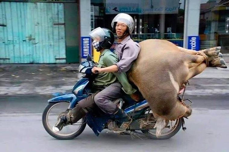 6 thói quen khiến vận hành xe 'tốn thêm một mớ' ảnh 2