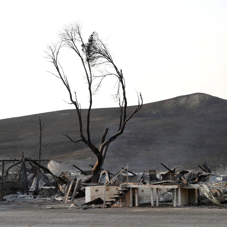 Toàn cảnh sự tàn phá nặng nề của vụ cháy rừng lịch sử tại Mỹ ảnh 6