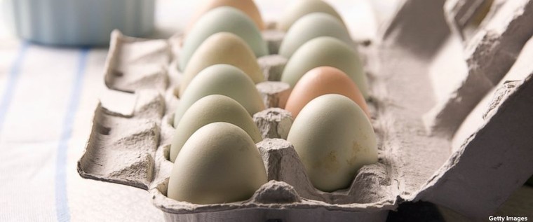 Khoa học chứng minh: Trứng không làm tăng cholesterol ảnh 1