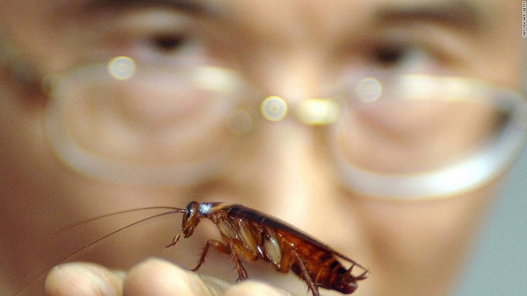 Cảm giác ghê sợ giúp chúng ta khoẻ mạnh hơn ảnh 1