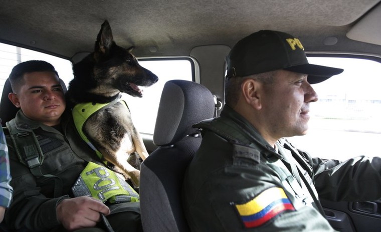 Trùm ma tuý Colombia treo thưởng 7.000 đô để truy sát chó nghiệp vụ ảnh 2
