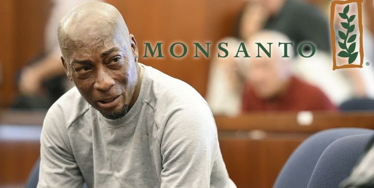 Nhận bản án 289 triệu đô, Monsanto đối diện thêm hàng nghìn vụ kiện khác ảnh 1