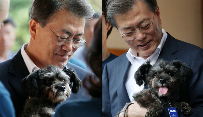 Món quà ngoại giao đặc biệt của Kim Jong-un gửi tặng Moon Jae-in ảnh 1