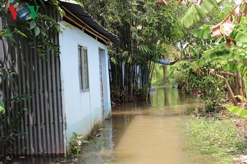 can tho trieu cuong dat dinh tiep tuc vo de bao hinh 3