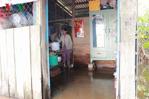 can tho trieu cuong dat dinh tiep tuc vo de bao hinh 4