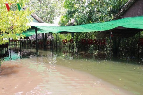 can tho trieu cuong dat dinh tiep tuc vo de bao hinh 6