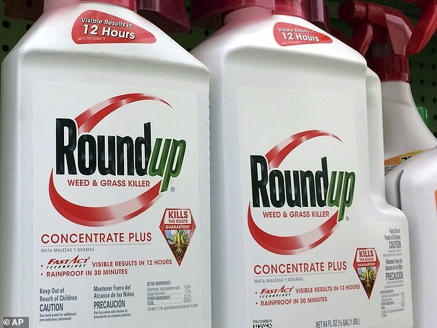 The report from the Environmental Working Group found 26 of 28 oat-based cereal products that were tested had levels of glyphosate, the main ingredient of Roundup (pictured)