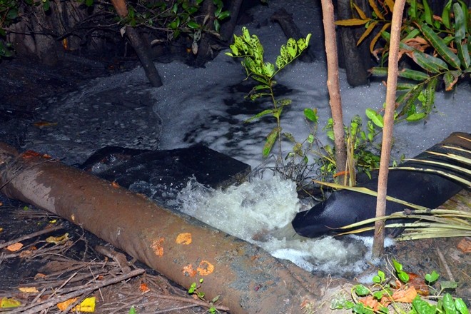 Bắt quả tang cơ sở sản xuất khô xả thải trực tiếp ra môi trường ảnh 2