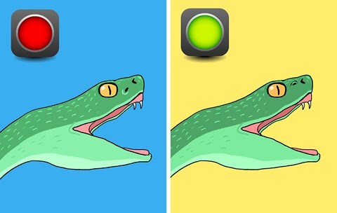 Bí kíp nhận diện rắn có độc hay không từ A - Z ảnh 2