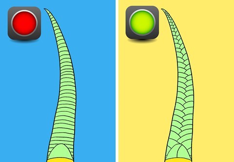 Bí kíp nhận diện rắn có độc hay không từ A - Z ảnh 4