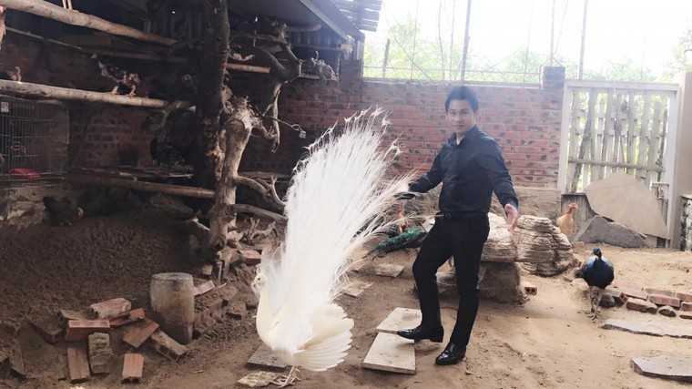 Gia tai trieu USD cua 'ong hoang nhac do' Trong Tan hinh anh 11