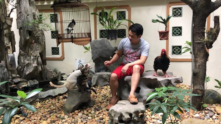 Gia tai trieu USD cua 'ong hoang nhac do' Trong Tan hinh anh 1