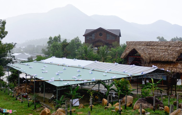 Nguoi Khanh Hoa ra bien xuc cat chong bao hinh anh 4