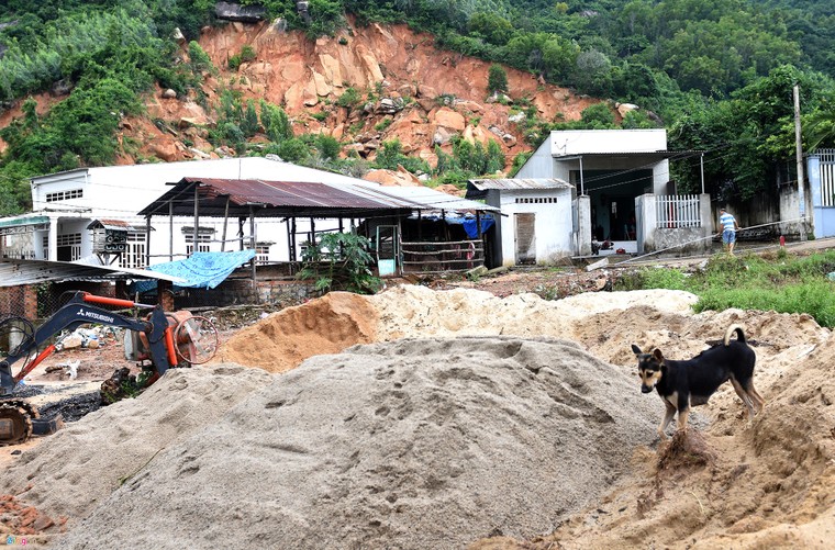 Nguoi Khanh Hoa ra bien xuc cat chong bao hinh anh 10