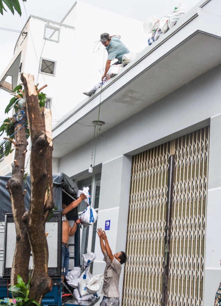 Nguoi Khanh Hoa ra bien xuc cat chong bao hinh anh 3