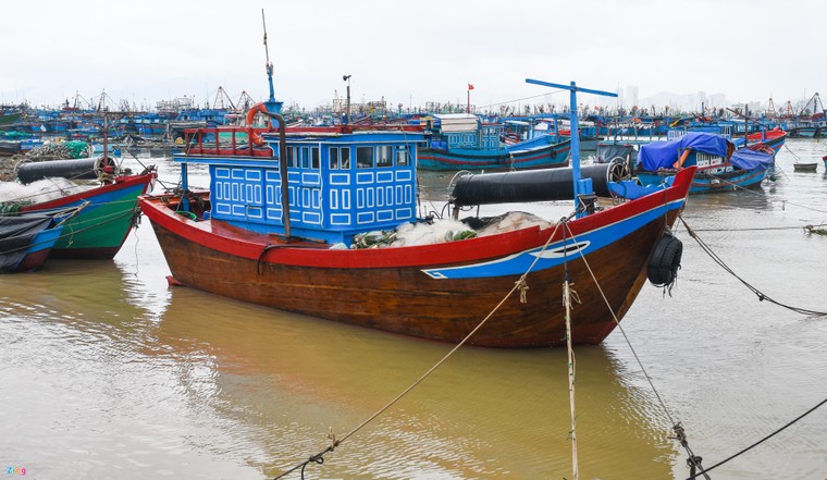 Nguoi Khanh Hoa ra bien xuc cat chong bao hinh anh 5