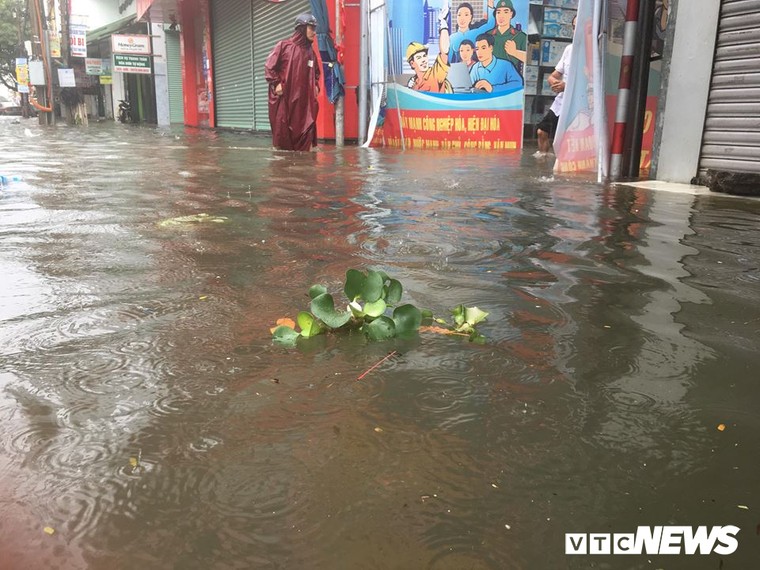 Nguoi Da Nang cheo thuyen tren pho sau tran mua ngap lich su hinh anh 4