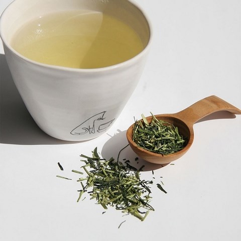 Những loại trà tốt cho sức khỏe trong mùa đông ảnh 1