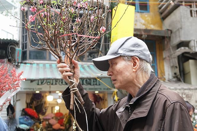 Đào, quất 'giá mềm' bán ngập chợ hoa tết Hàng Lược - ảnh 10