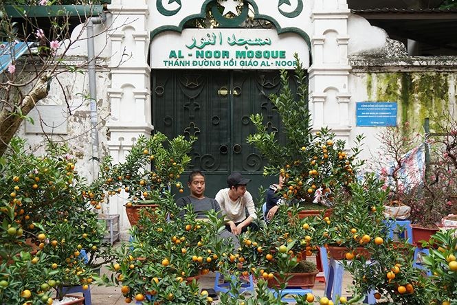 Đào, quất 'giá mềm' bán ngập chợ hoa tết Hàng Lược - ảnh 4