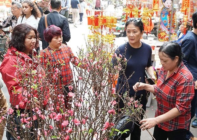 Đào, quất 'giá mềm' bán ngập chợ hoa tết Hàng Lược - ảnh 7