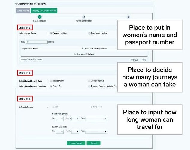 Absher allows men in Saudi Arabia to track and control where women travel