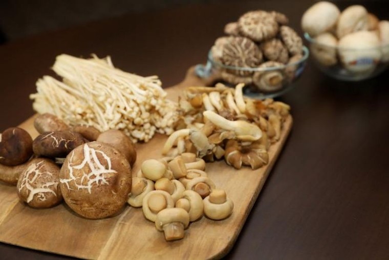 Káº¿t quáº£ hÃ¬nh áº£nh cho Two portions of mushrooms each week could 'HALVE risk of brain decline that leads to dementia in old age'