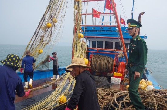 Truy đuổi, bắt giữ hai tàu giã cào đánh bắt hải sản trái phép ảnh 1