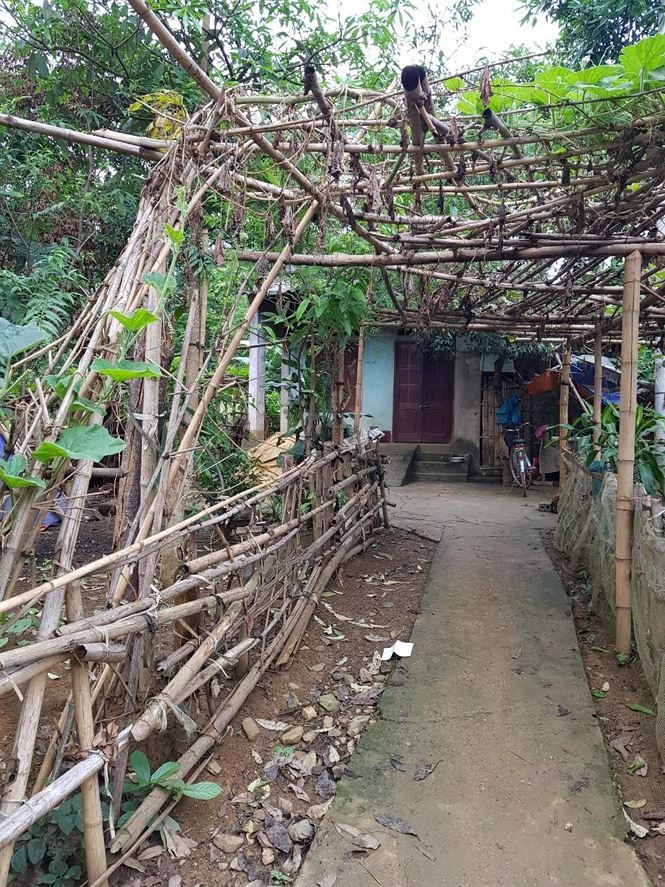 6 cô trò trưởng tiểu học bị đâm: Nạn nhân tử vong là hàng xóm của nghi phạm - ảnh 2