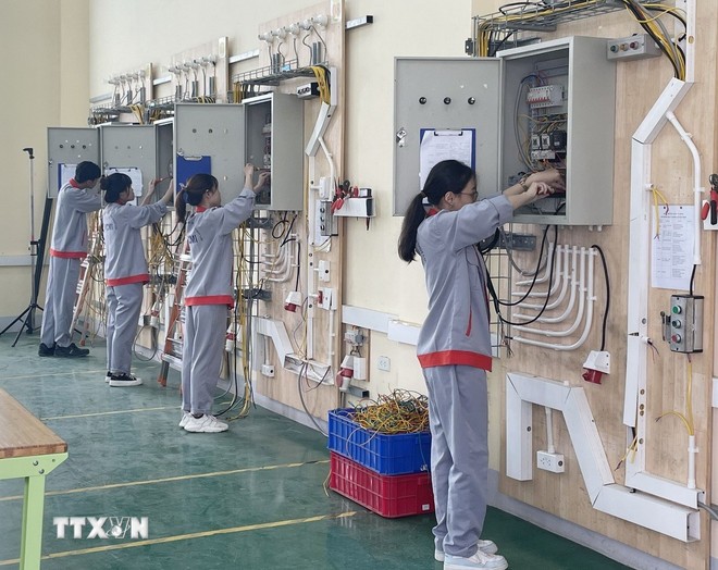 Học tập suốt đời: Chìa khóa để thích ứng với cuộc cách mạng công nghệ ảnh 3