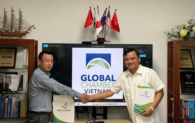 M&A Vietnam hợp tác cùng Global Chamber Vietnam ảnh 2