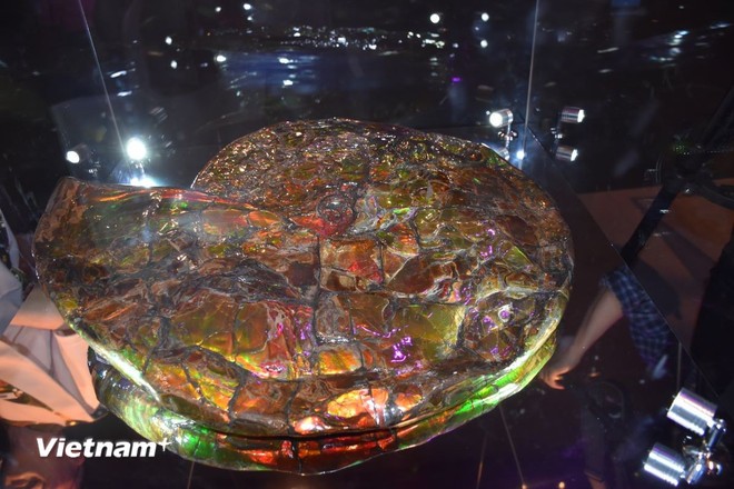 Độc đáo cách thức giới thiệu lịch sử của sự sống tại EXPO 2025 ảnh 1