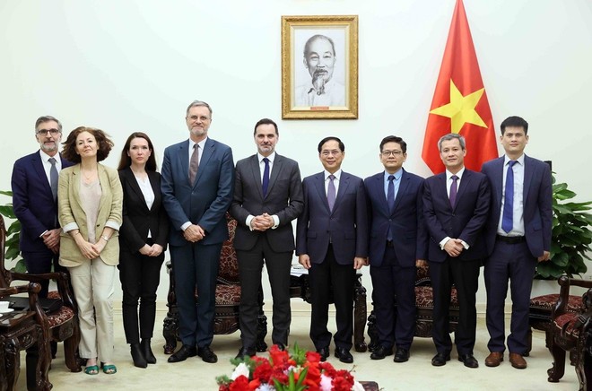 Việt Nam là 1 trong những đối tác ưu tiên quan trọng của Pháp tại châu Á-TBD ảnh 1