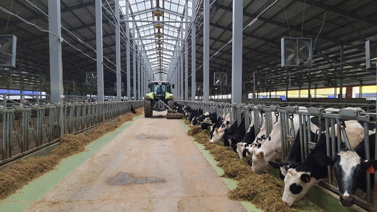 Tập đoàn TH khánh thành nhà máy chế biến sữa công suất hàng đầu Liên bang Nga ảnh 4