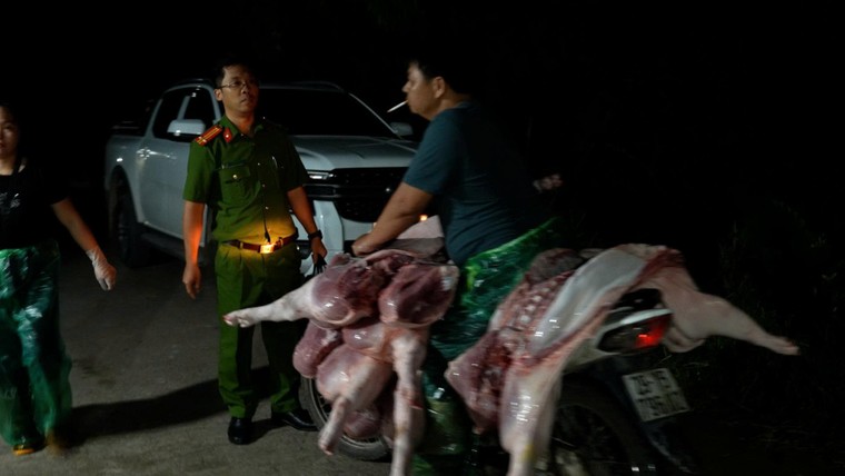 Công an Hà Nội triệt phá đường dây giết mổ, tiêu thụ thịt lợn bệnh ảnh 2