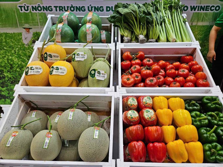 Khu vườn WinEco thu hút hàng ngàn khách tại Vietfood & Beverage - Propack Vietnam 2025 ảnh 2